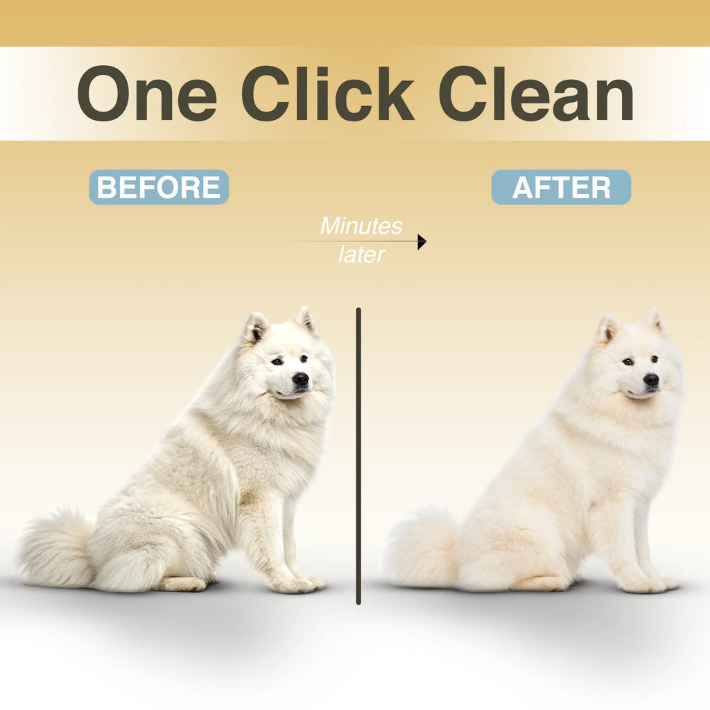 Hydra Mist Self-Cleaning Brush