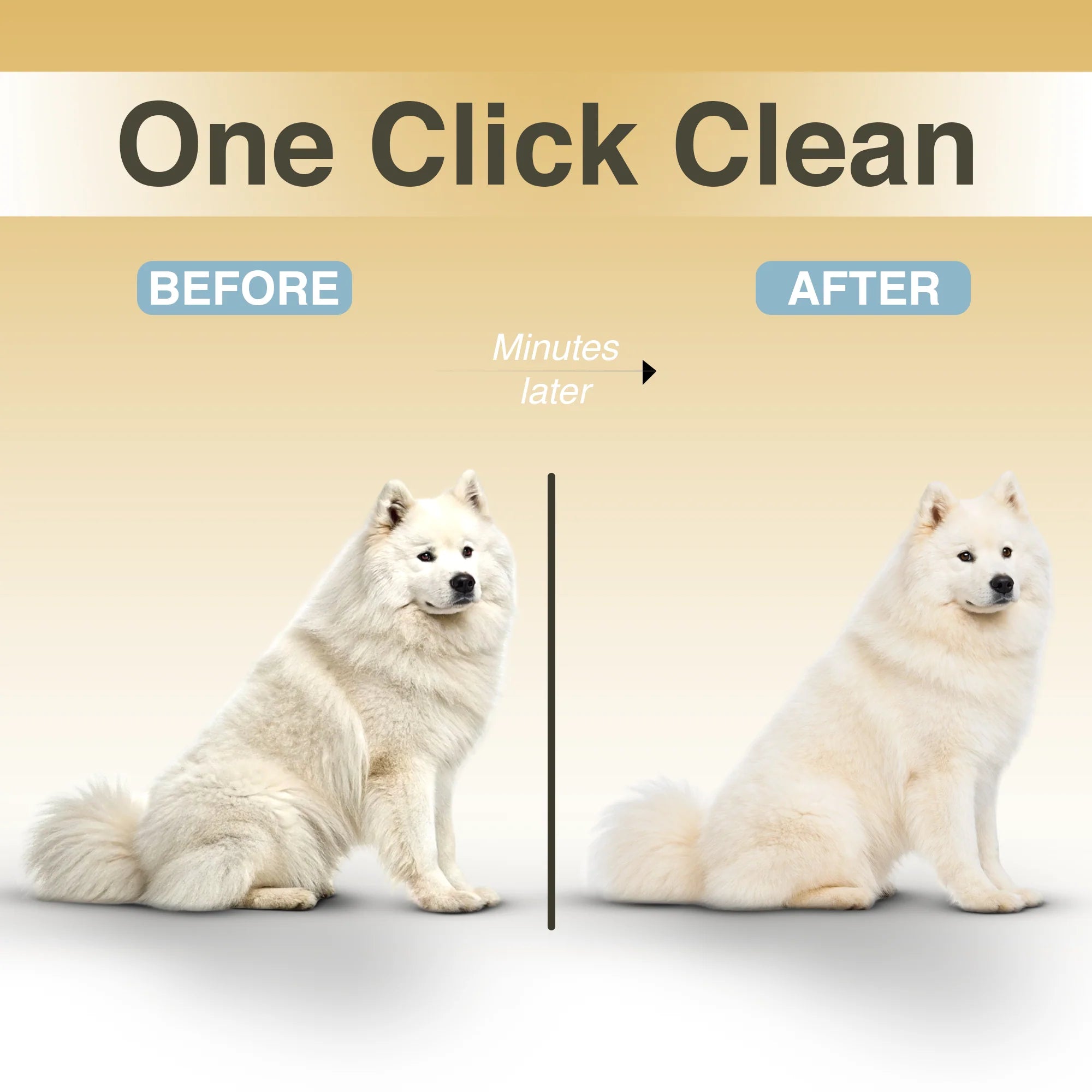 Hydra Mist Self-Cleaning Brush