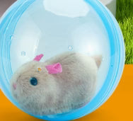 Cute Pet Spin & Fun Parent-Child Pet Interactive Toy 2 Pack