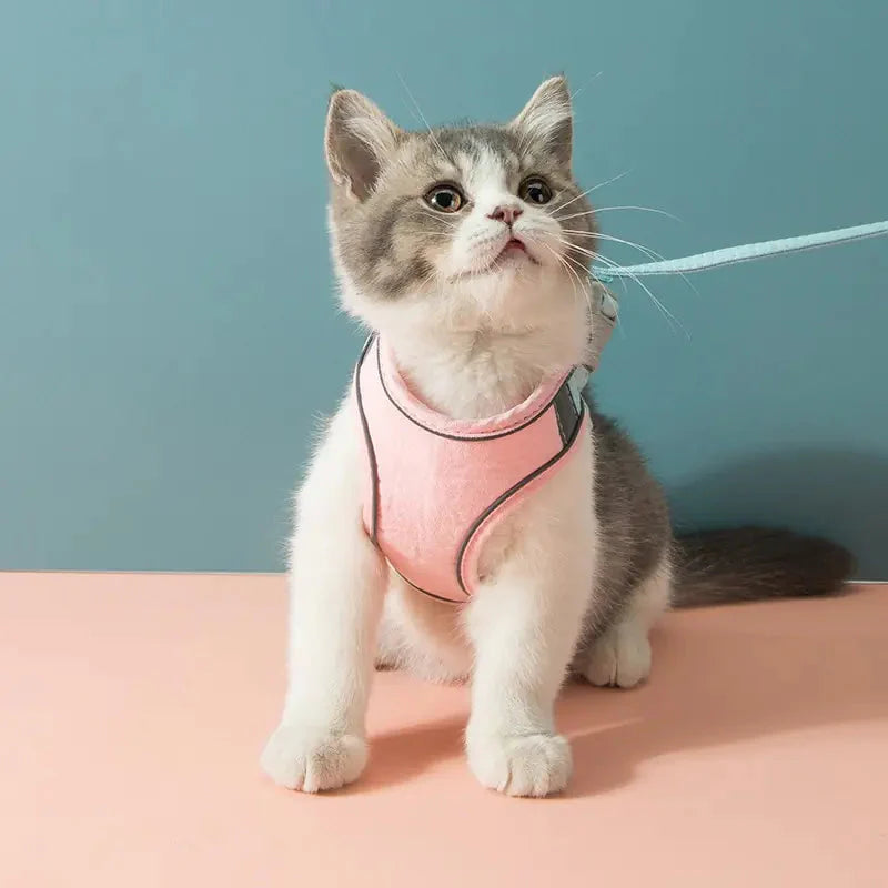 Night Reflective Pet Leash for Small Dogs & Cats