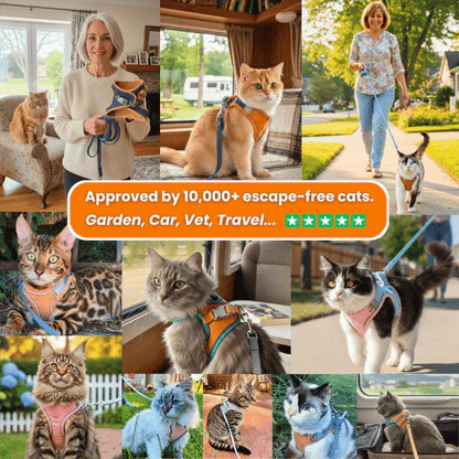 Night Reflective Pet Leash for Small Dogs & Cats