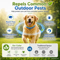 Natural Essential Oil Pet Pest Repellent Collar