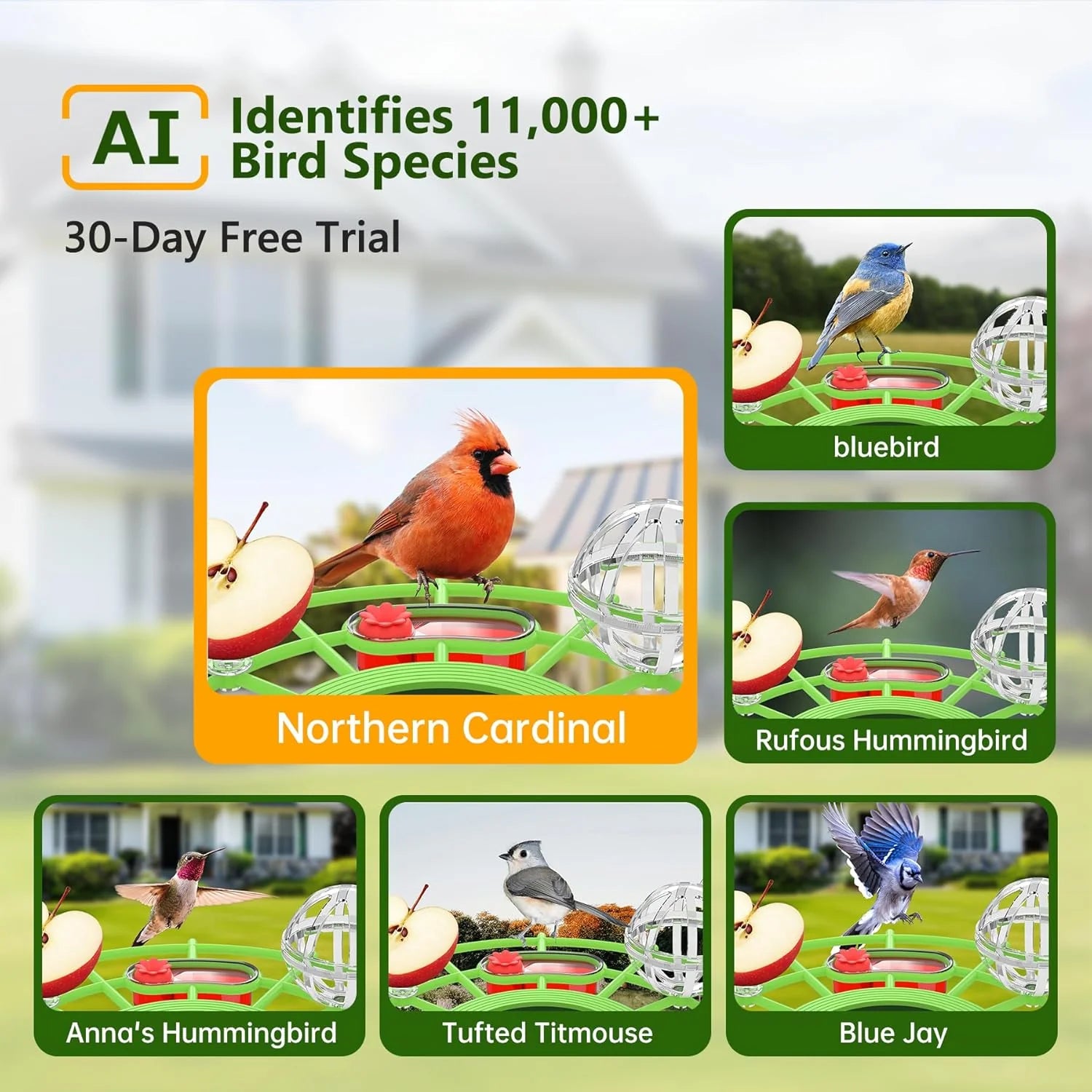 Centvicam Smart Bird Feeder with Camera �?2K HD Live View