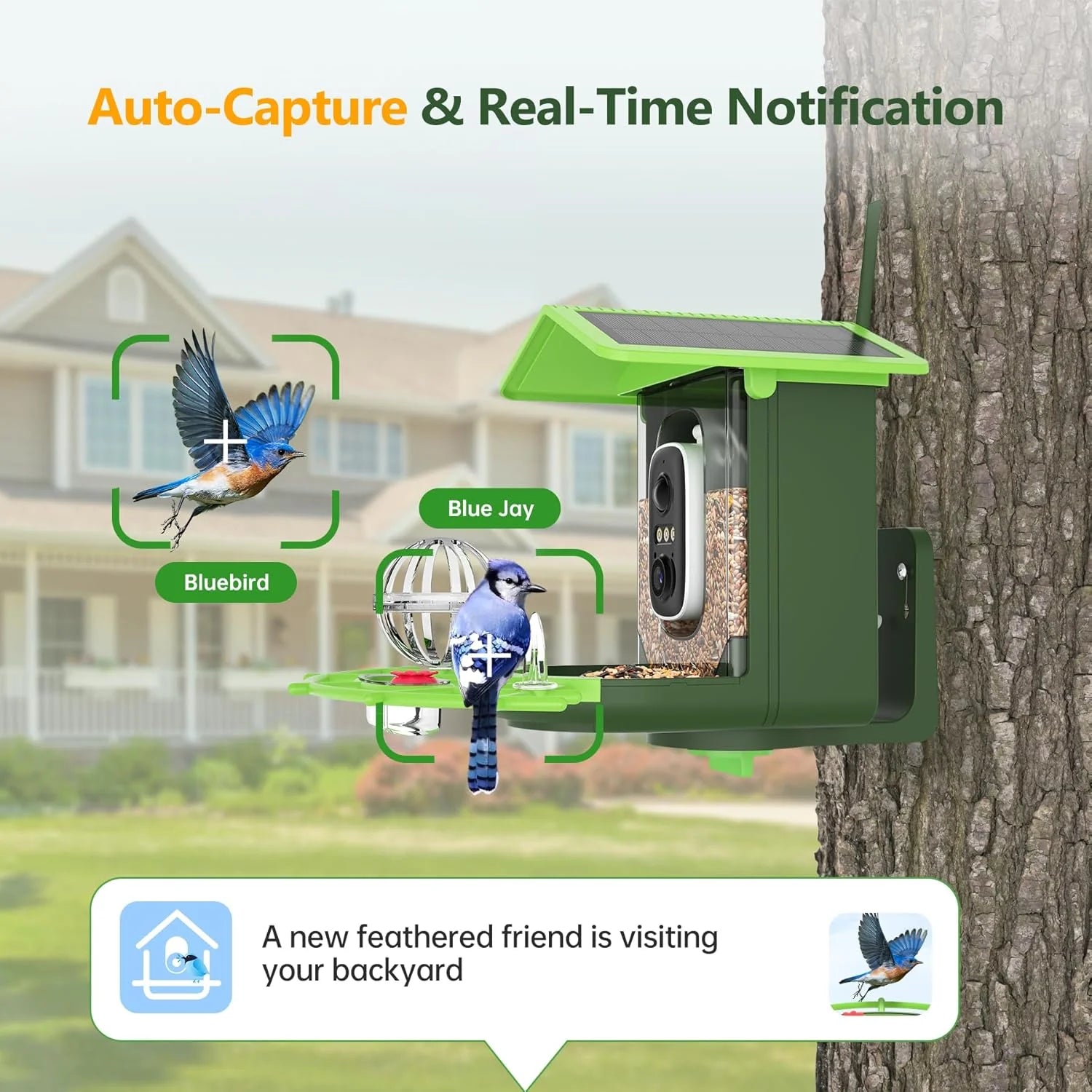 Centvicam Smart Bird Feeder with Camera �?2K HD Live View