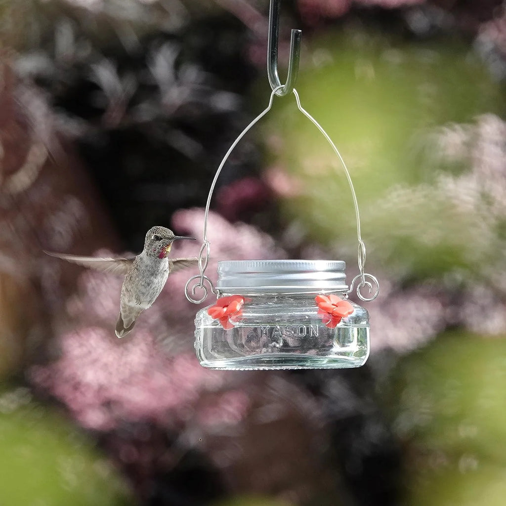 🎉 Beautiful Plastic Jar Hummingbird Feeder W/ Four Ports